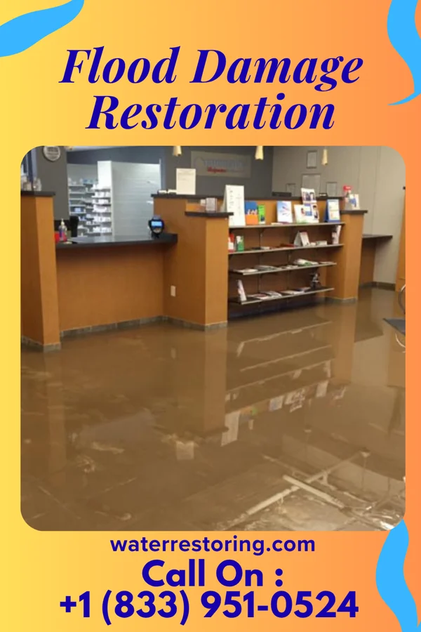 Flood Damage Restoration in Starbuck, WA