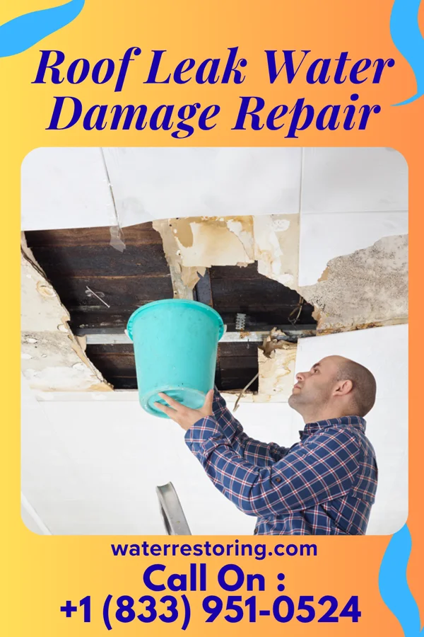 Roof Leak Water Damage Repair in Starbuck, WA